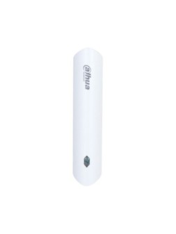 DHI-ARM310-W2(868)