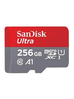 msd256gbsandisk