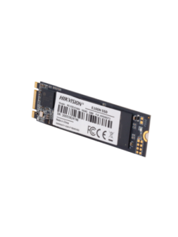 HS-SSD-E100NI-1024G-2280