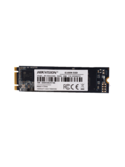 HS-SSD-E100NI-1024G-2280