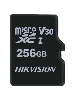 HS-TF-M1STD-256G-V2