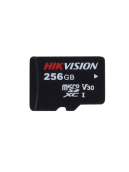HS-TF-P1STD/256G