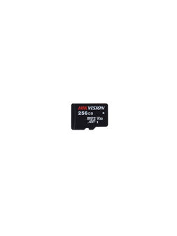 HS-TF-P1STD/256G