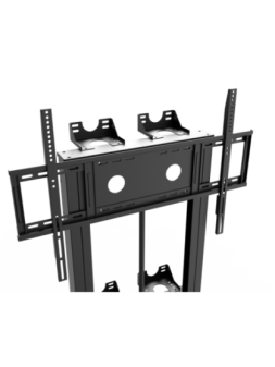 IB-EST08-W2-V3-B