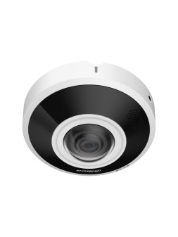 DH-IPC-EBW5641P-AS Domo...