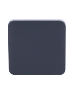 AJ-SOLOBUTTON-1G2W-GRA