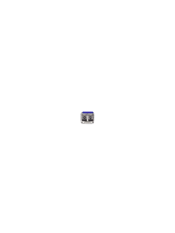RG-MINI-GBIC-LX-SM1310