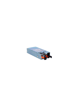 RG-PA300I-FS