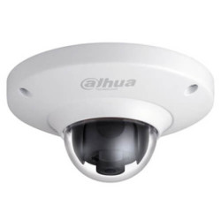 Cámara Panorámica IP Dahua  EB5531 5MP 1.4mm H265 0.01Lux POE SD Audio Alarmas IK10