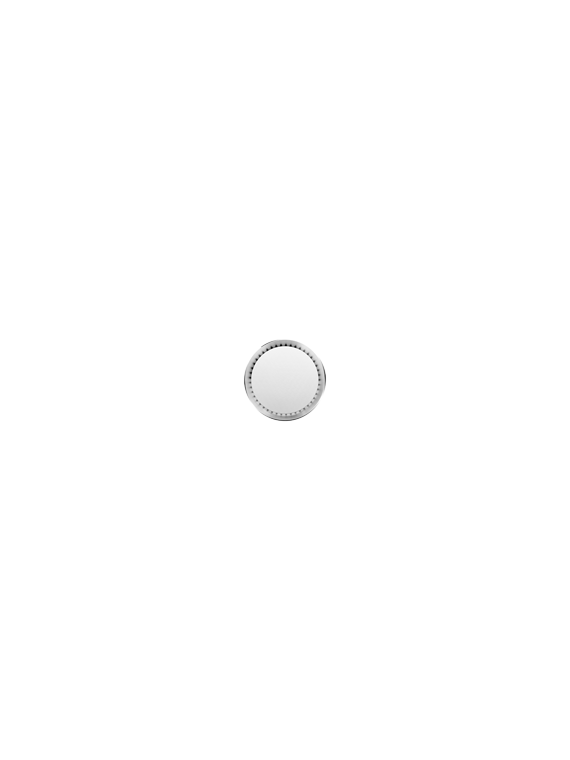 SS-20