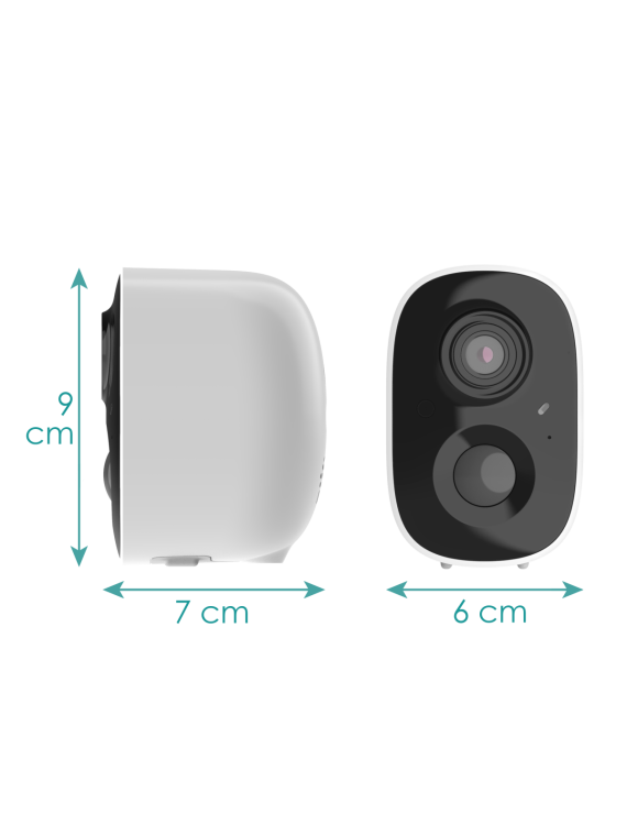 CG6