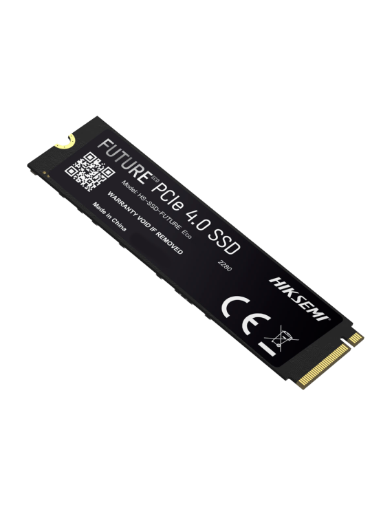 HS-SSD-FUTURE-2048G