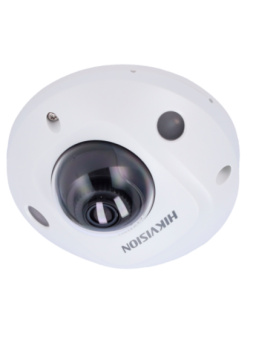 DS-2CD2543G2-IWS(2.8mm)