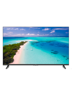 Monitor Univew LED 43" DP....