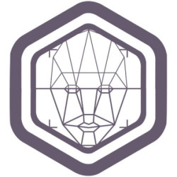 Licencia Safire Link SF-SOFT-FACE Reconocimiento facial