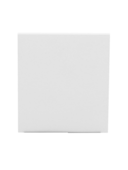 AJ-CENTERBUTTON-1G2W-W