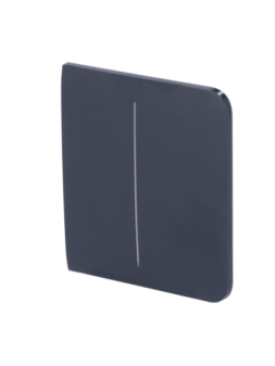 AJ-SIDEBUTTON-2G-GRA  Panel...