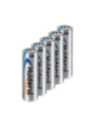 10XBATT-AA-FR06