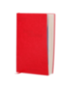 RG-AGENDA