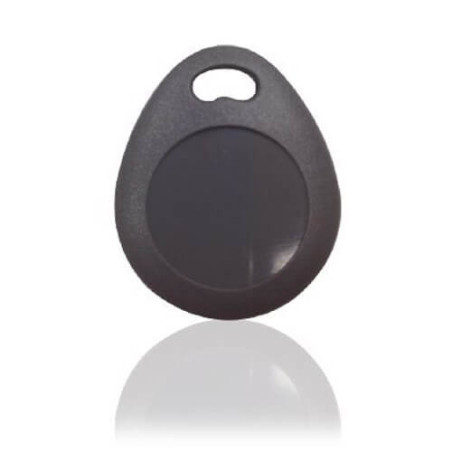 Tag RFID Blaupunkt TAG-S1