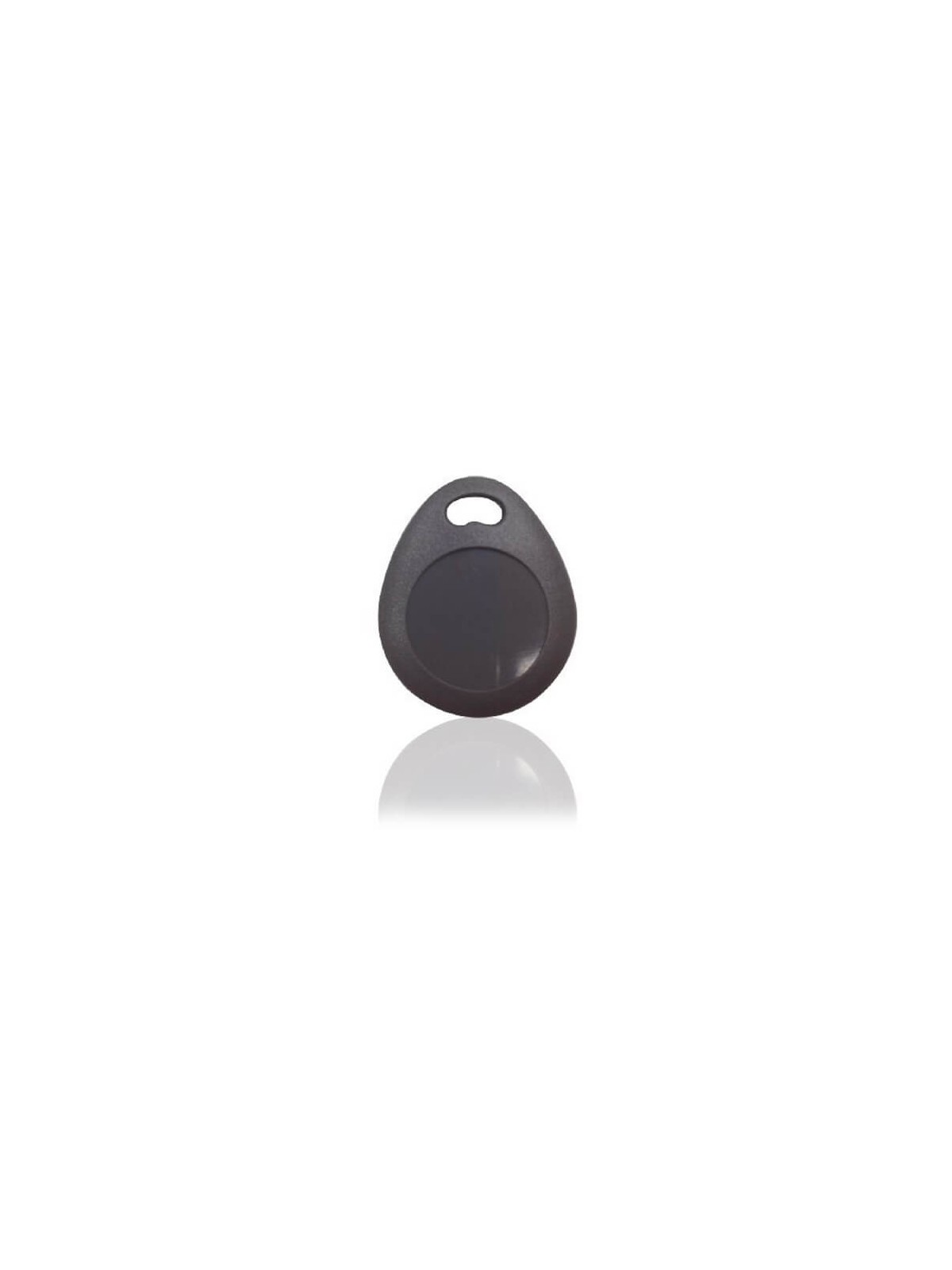 Tag RFID Blaupunkt TAG-S1