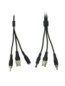 COX20A